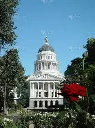 亚博体育官方网站-萨克拉门托国王训练开放日，国际比赛日迎来里程碑引欢呼，足总杯在即，年轻球员得到机会